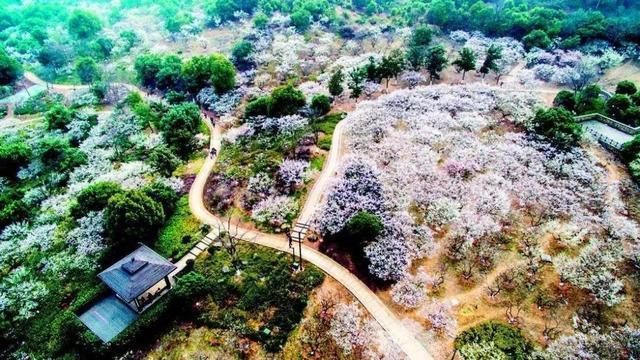  打造|浙江广电新媒体打造 国内首档青少年户外励志综艺《奔跑吧少年》