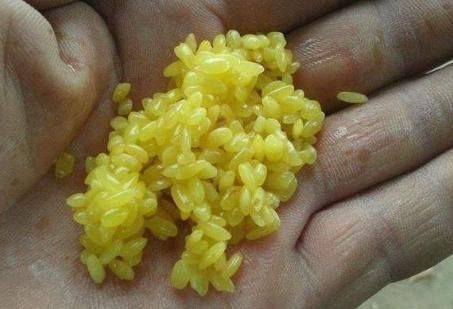 钓鱼|钓鱼的好材料酒米,一年四季通用,也可以在家里自己做