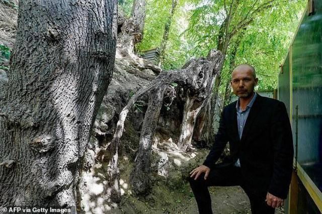  巴黎|梵高生前最后一幅画创作地锁定巴黎附近山坡，专家：自杀前几小时还在创作它