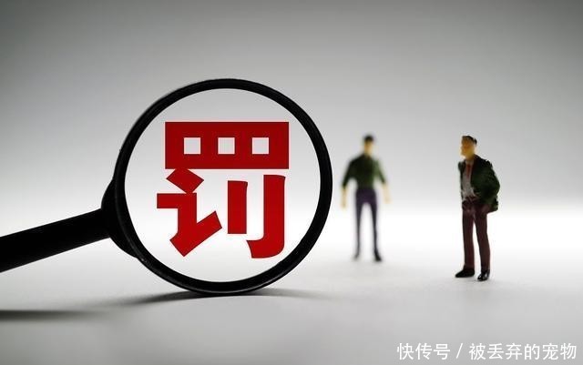 斯文|年轻游客踹断景区仙人掌，同时也暴露了他斯文面孔下的内心