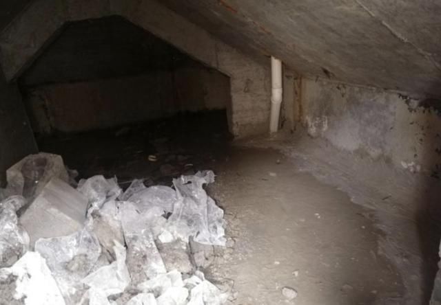  吴女士|漏！漏！漏！闵行新房报修三年多没修好，顶上竟长出青苔