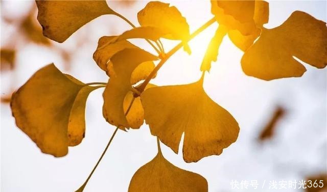 真准|喝一次酒,就看出一个人的性情!真准!(深度好文)