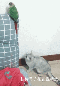 看图猜成语","fkws":"青年|妹子,你上衣太时尚了,满背的纹身霸气十足,看着就霸气啊