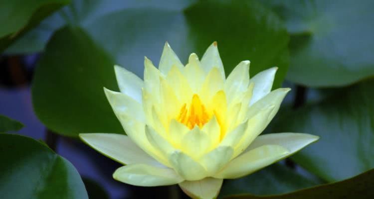  赚钱|8月开始赚钱如流水，贵人运旺，富贵不倒的四大属相