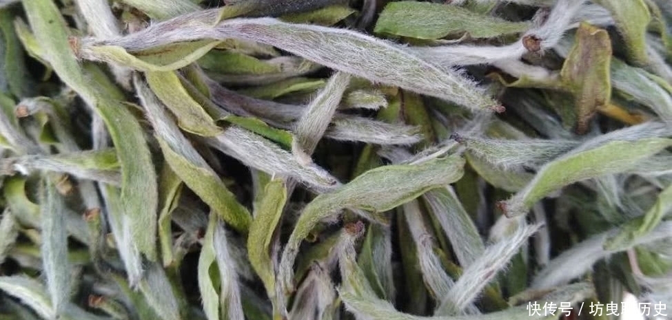 喝茶|为何说喝茶能陶冶情操?