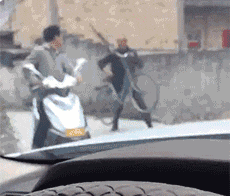  拍到|搞笑GIF：在沙滩上拍到比大白鲨还恐怖的生物