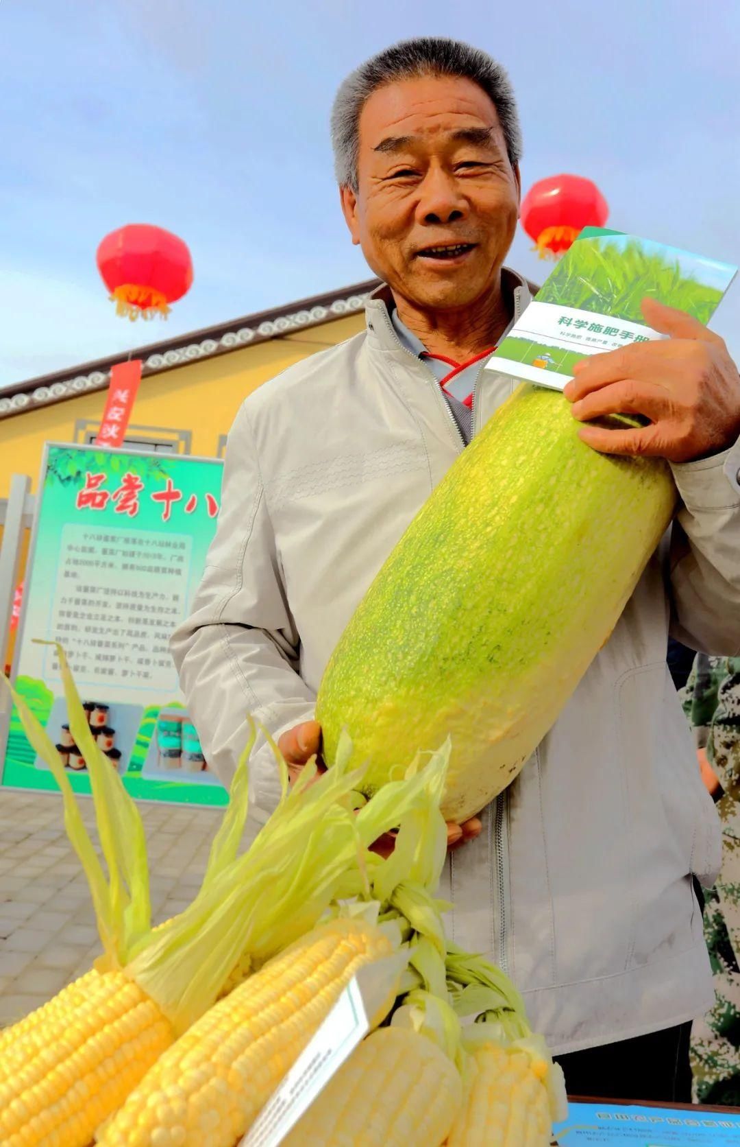 大兴安岭|兴安大地泛“金浪”，丰收的号角已吹响！