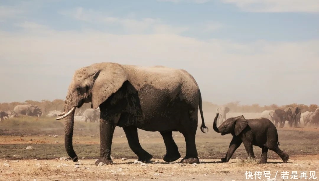 海洋|32亿像素照片出炉；“三体”星系被发现；牛仔裤污染地球