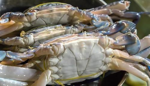 肥美|买螃蟹时，学会从这2个方面入手来挑选，包你买到的个个膏腴肥美