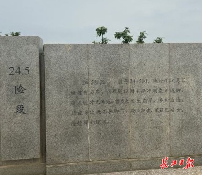  监控|武汉硚口24.5公里险段：无人机巡堤，视频监控水情