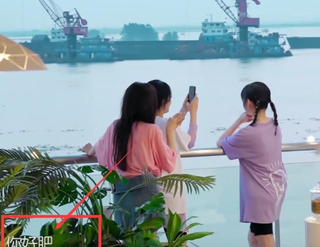 李浩菲|杨超越给李浩菲起外号，当着大家的面喊浩菲，赵丽颖听到笑出声