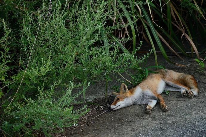  赛级|赛级摄影作品讲述的也不过是不同的生活罢了