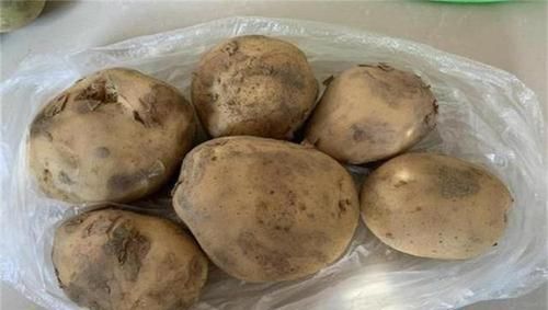  多余|原来保存土豆这么简单，分享几个小技巧，保存很长时间不发芽