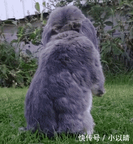  被窝|笑话趣图: 我媳妇儿早上醒来, 发现被窝里多了个人, 一脚就踹下床了