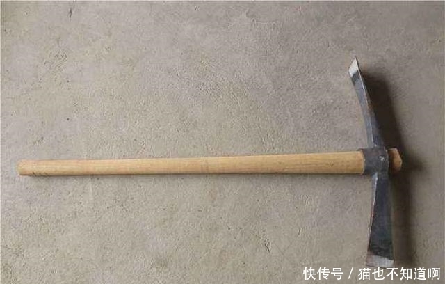 胡茂盛|最后一个惯匪——最后一个惯匪的覆灭