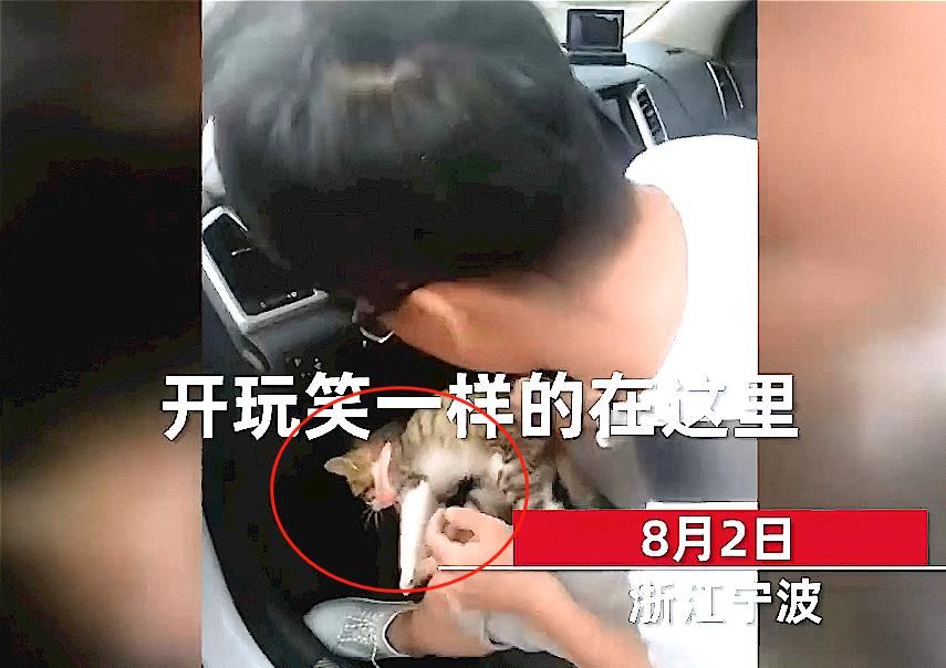  超速|男子超速被拦停，打开车门交警无语，你这是“猫刹”？