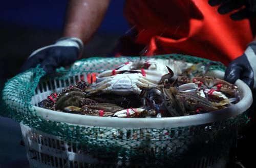 人生|开海啦,胶东人喜欢蒸着吃,鲜到怀疑人生,带上钱包赶快来吧