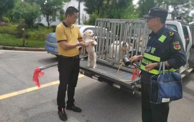 曝光|楚雄不文明行为大曝光！这些人、这些行为被处罚了（组图）