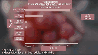  农业|菜吧：我相信有机农业的存在
