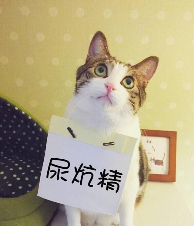 王一博|王一博穿双层裤子,一层裤腰挂在大腿根儿,要做中国贾斯汀比伯?