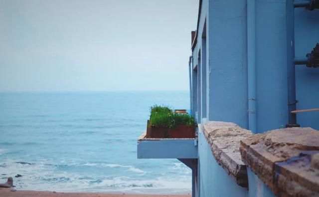 快乐|我在青岛做了这10件小事,找回了久违的快乐