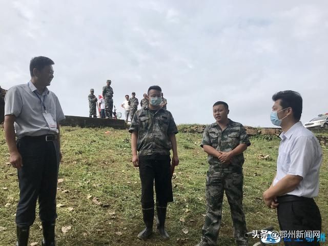  白蚁|鄂州防汛江堤挖出白蚁巢穴 消除大堤安全隐患