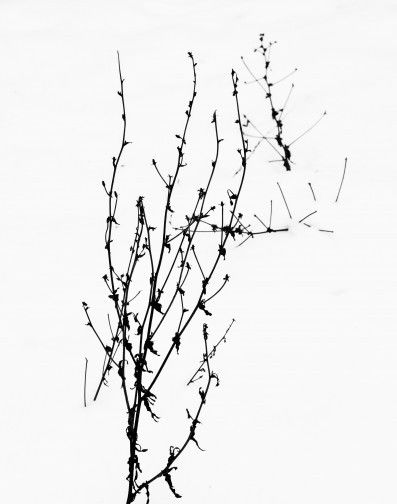 爱情运势|八月份,被月老点名的四大星座,桃花运缠身,爱情的萌芽彻底苏醒