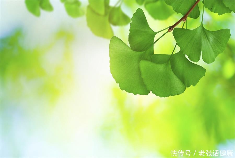 三伏天养生需要注意哪些事(三伏天养生，你养对了吗？这些误区要尽量避开)