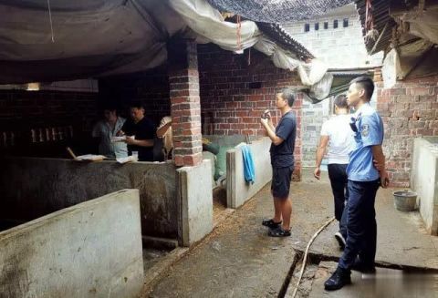 养牛场|高安三个养牛场的肉牛尿检呈阳性，3名老板被刑拘！