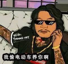 嘉善|我偷电动车养你啊！嘉善“窃·格瓦拉”被抓……