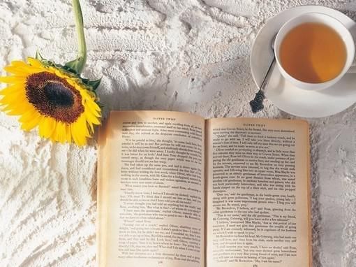  土象|看看土象星座怎么哄女票