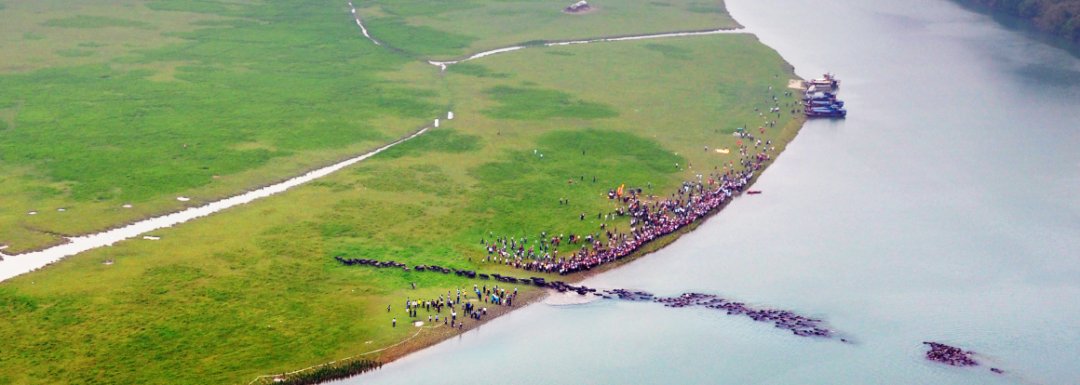  飞凤镇桥亭|村里有个桃花源！一起去吗~