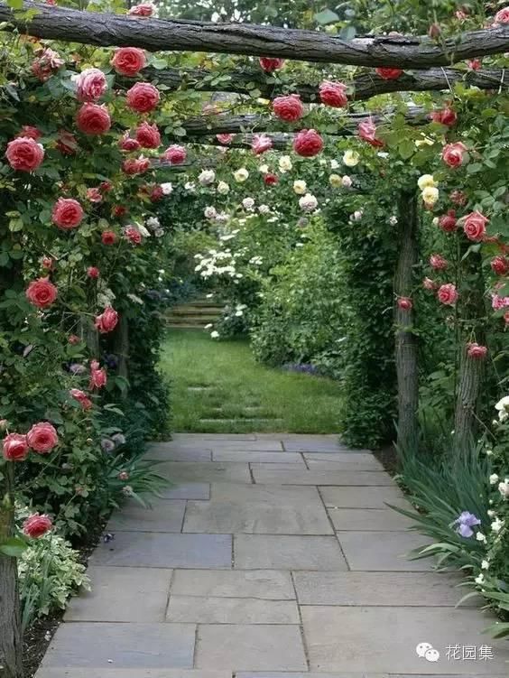  系列|花园系列 | 英式花园，自然浪漫系的优雅花园