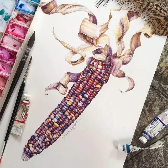  全职|一位全职妈妈喜欢疯狂画画，教你画水彩花卉