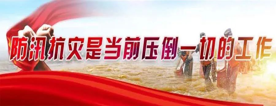 抗洪|防汛抗灾:黄梅县各地各单位全力防汛抗洪六