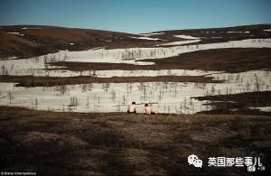  北极地区|“全世界最冷小镇”今年夏天气温飙到38℃！灾害频发，北极圈不好过了！