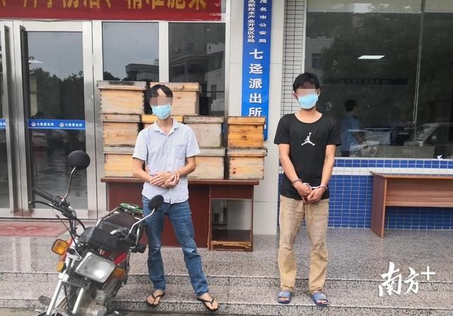 偷走|两男子钓鱼时起盗心，趟水过河偷走10箱蜜蜂