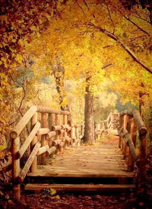  秋景|这一组迷人秋景，美爆了朋友圈！