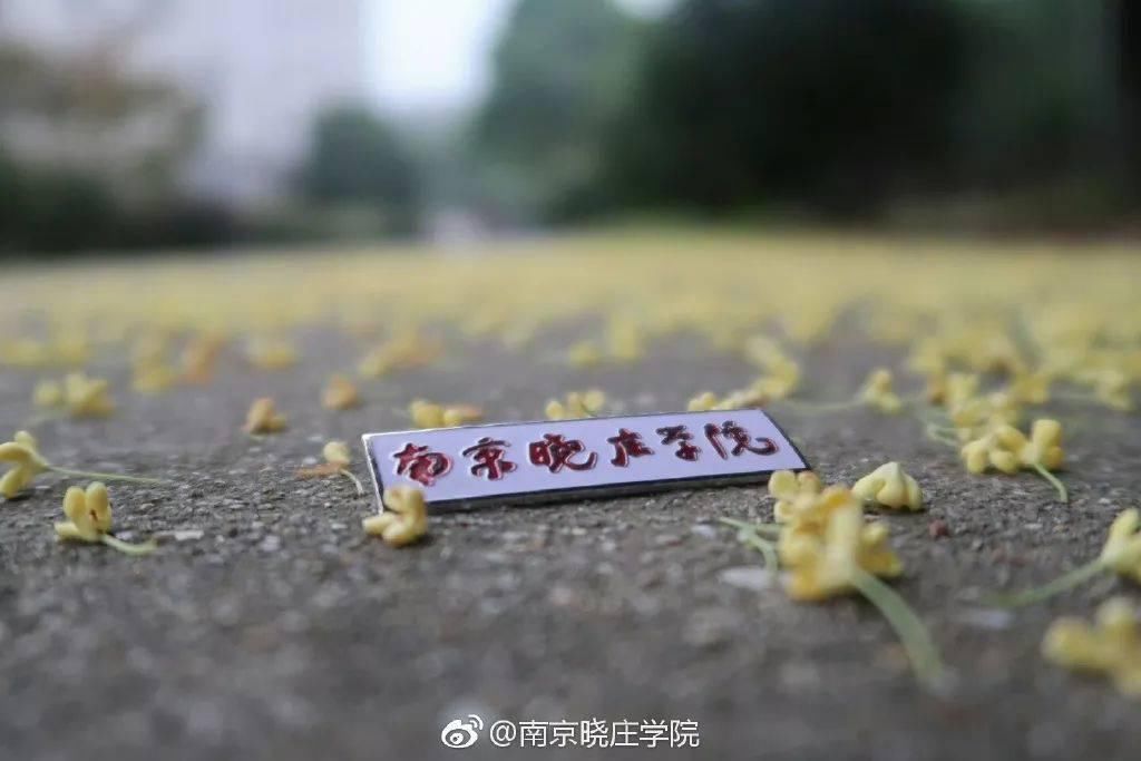  填报|今天开始，填报第一阶段志愿！这所学校，红了！