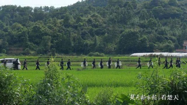 投案自首|5天杀3人！曾春亮落网！抓捕视频曝光！