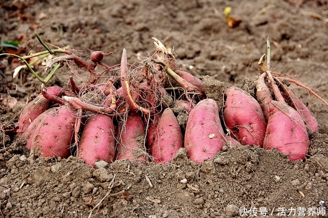 西兰花大蒜怎么做抗癌(红薯、大蒜、西兰花不能抗癌？对于真正防癌的4种做法，你却没做)