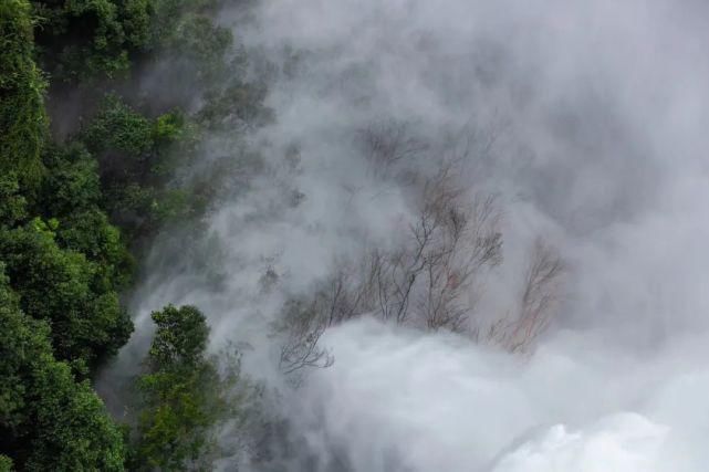  告急|多地告急！水位破1998年历史极值，仍在上涨！