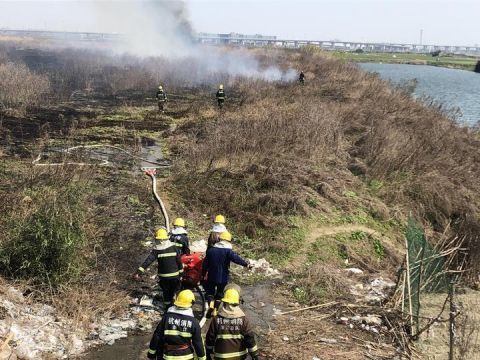  消防员|突发钱塘江边芦苇荡着火了，正在紧急扑救中