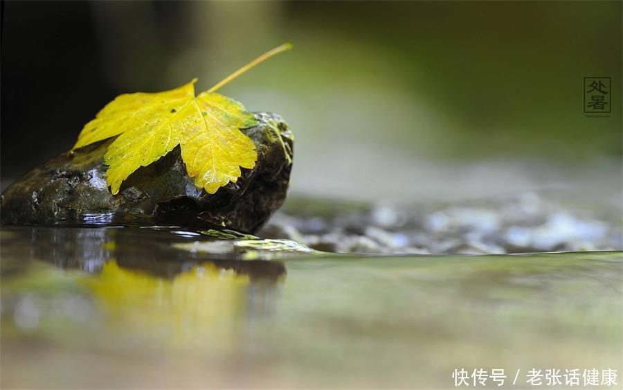 处暑养生的方法和注意事项(处暑来袭，新一轮的养生计划，你做好准备了吗？)