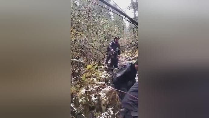 判刑|非法捕猎杀害国家一级保护动物林麝 出售麝香、鹿角等，涉案四人被判刑