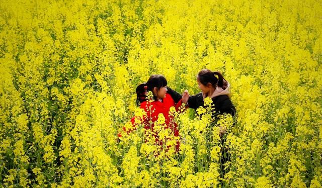  孩子|幼儿遇上好心司机，一路连闯红灯，这种过敏体质怎么改善