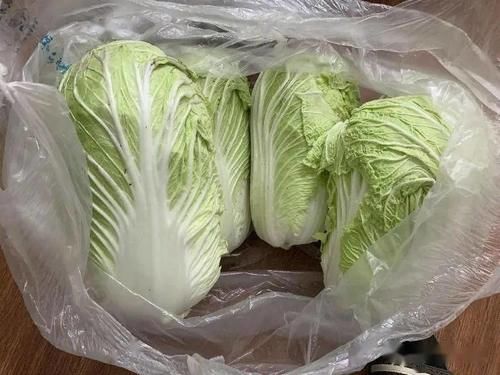  饺子|调饺子馅，一般是三放两不放，白菜猪肉馅的饺子是我们的最爱