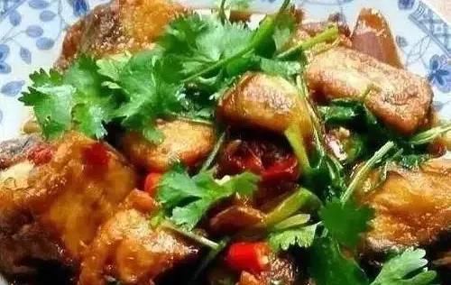  品尝|几道菜肴精选，家常菜中的精品，邀你品尝不一样的味道