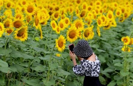  一幅|河南三门峡：山翠水秀 像一幅情醉西楼的画卷