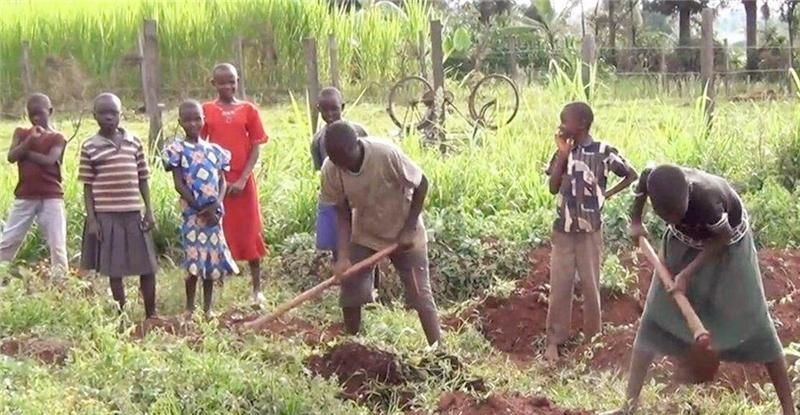 是因为|非洲人饭都吃不上还不种地,是因为懒吗?专家:你看地上长了什么